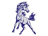 Blue Valley North Mustangs