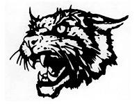 Elkhart Wildcats