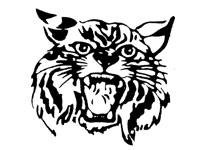 Wallace County Wildcats
