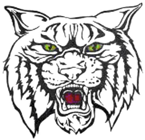 Logan-Rogersville Wildcats