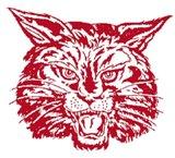 Newark Wildcats