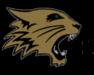 Blacksburg Wildcats