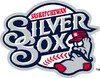 Saskatchewan Silver Sox