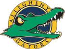 Allegheny-Clarion Valley Falcons