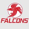 Brookwood Falcons