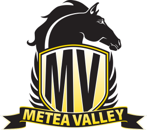 Metea Valley Mustangs