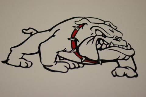 Gainesville Bulldogs