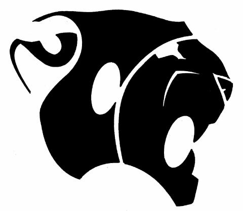 Colleton County Cougars