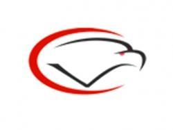Cumberland Valley Eagles
