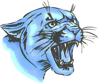 Pinckneyville Panthers
