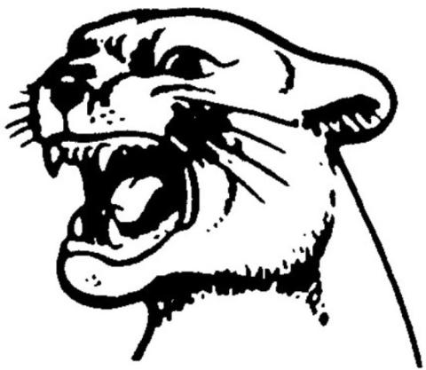 Madison Panthers