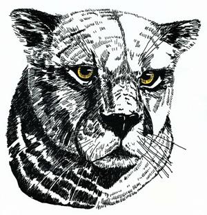 Saratoga Panthers