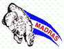 Madras White Buffalos