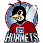 Ganado Hornets