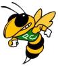 Pueblo County Hornets