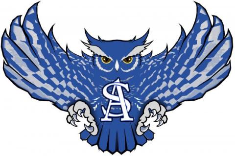 Anderson-Shiro Fighting Owls