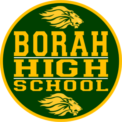 Borah Lions