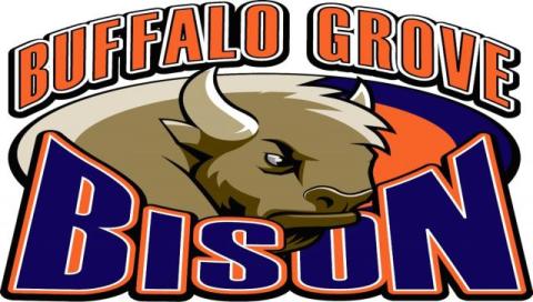 Buffalo Grove Bison
