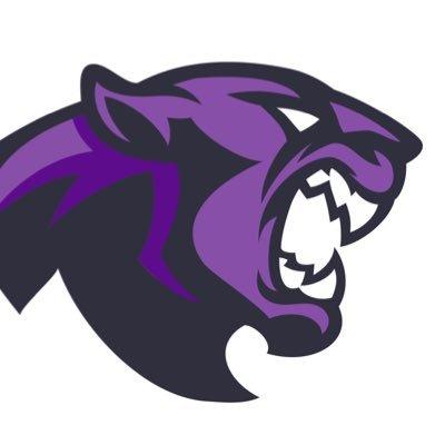Dakota Valley Panthers