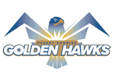 Desert Sunrise Golden Hawks