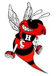 Hickory Hornets