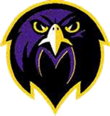 Monroe Township Falcons