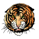 New England Tigers