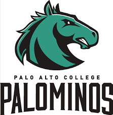 Palo Alto College Palominos