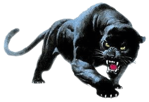 Perth Amboy Panthers