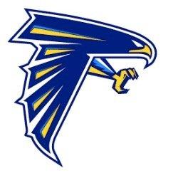 Valley Falcons