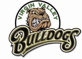 Virgin Valley Bulldogs