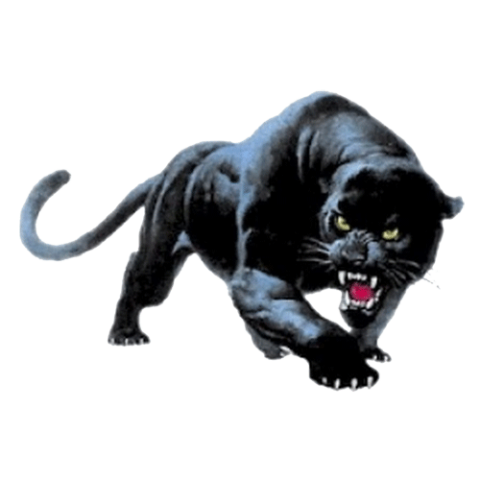 Wallington Panthers