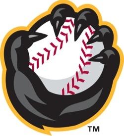 Quad Cities River Bandits