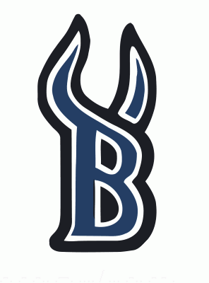 Billings Bulls