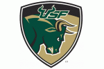 University of South Florida Bulls