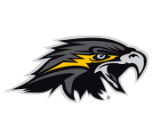 Wichita Falls Nighthawks