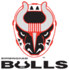 Birmingham Bulls