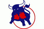 Birmingham Bulls