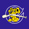 Charleston RiverDogs