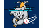 Portland Sea Dogs