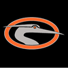 Delmarva Shorebirds