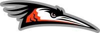 Delmarva Shorebirds