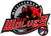 Mississauga Red Wolves