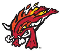 Florida Fire Frogs