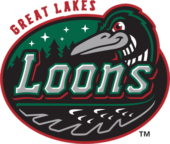 Great Lakes Loons