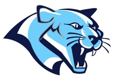 Cedar Mountain Cougars