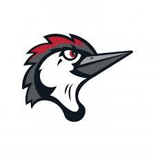 Fayetteville Woodpeckers