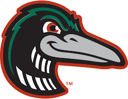 Great Lakes Loons