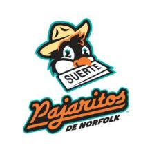 Pajaritos de Norfolk