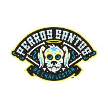 Perros Santos de Charleston